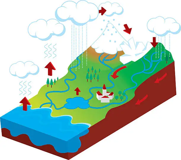 Vector illustration of water cycle