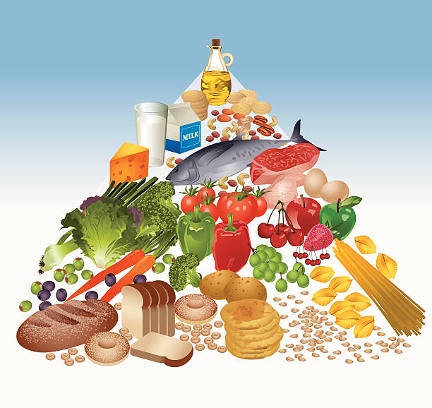 ilustraciones, imágenes clip art, dibujos animados e iconos de stock de pirámide de comida vector - food pyramid food healthy eating spaghetti
