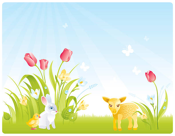 wiosna tło z kwiatów i aminal cubs - easter vector corner nature stock illustrations