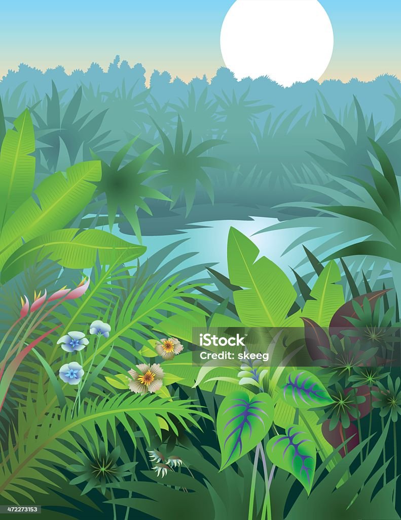 Ilustración de Sueño De La Selva y más Vectores Libres de Derechos de  Bosque pluvial - Bosque pluvial, Ilustración, Selva Tropical - iStock