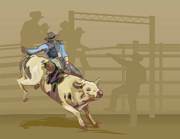 illustrazioni stock, clip art, cartoni animati e icone di tendenza di monta dei tori - rodeo bull bull riding cowboy