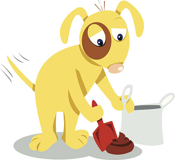 Even dogs know you have to clean it up! vector art illustration