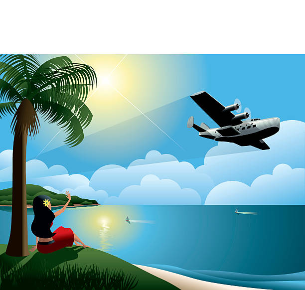 젊은 여자 손 흔드는 at 비행기 출발 열대 섬 - 하와이 제도 일러스트 stock illustrations