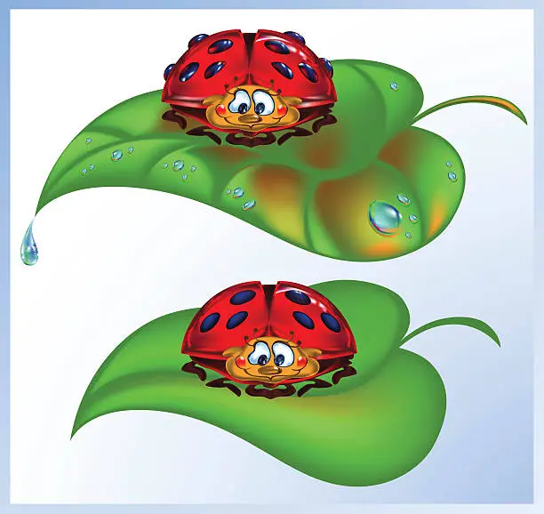 Vector illustration of Cheery, sweet ladybird