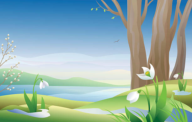 Early spring Vector illustration of an early spring morning with snowdrops. snowdrops in woodland stock illustrations