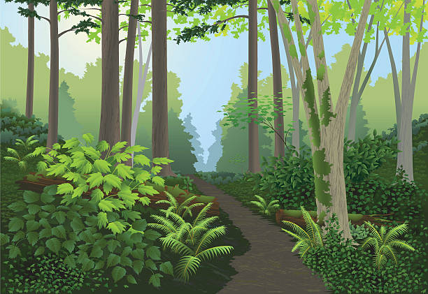 Forest Landscape vector art illustration