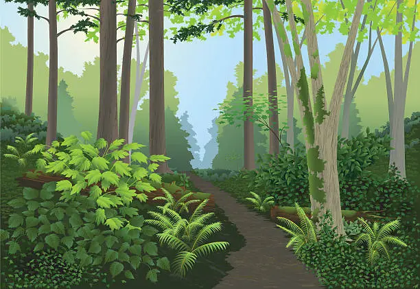 Vector illustration of Forest Landscape
