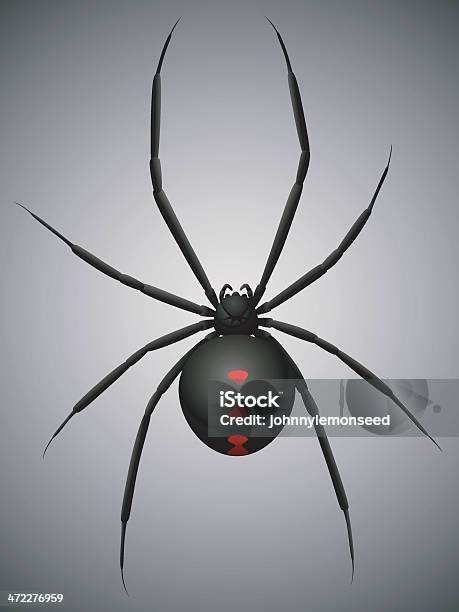 Ilustración de Viuda Negra y más Vectores Libres de Derechos de Animal - Animal, Araña, Arácnido