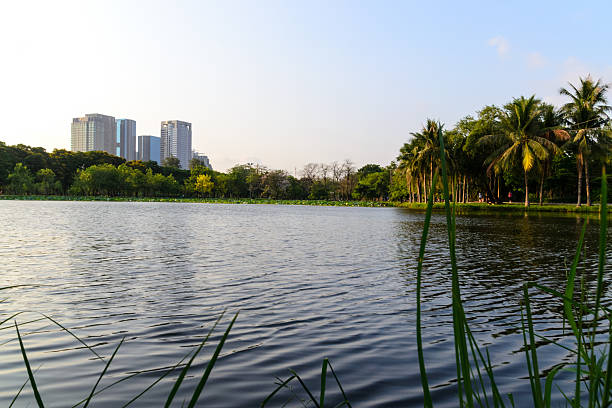 istock Park in the central city 472277064