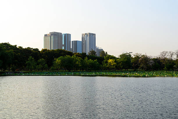 istock Park in the central city  blur 472277066
