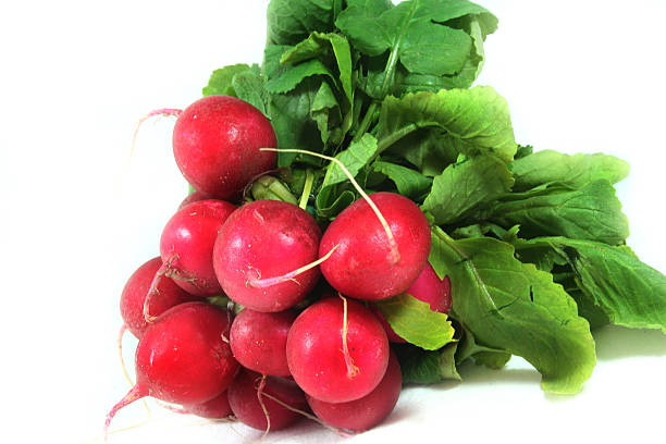istock bunch of radishes 472277092