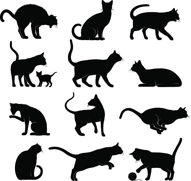 고양이 실루엣 - silhouette animal black domestic cat stock illustrations