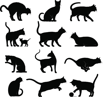 Detailed silhouettes set of various cat poses and actions.