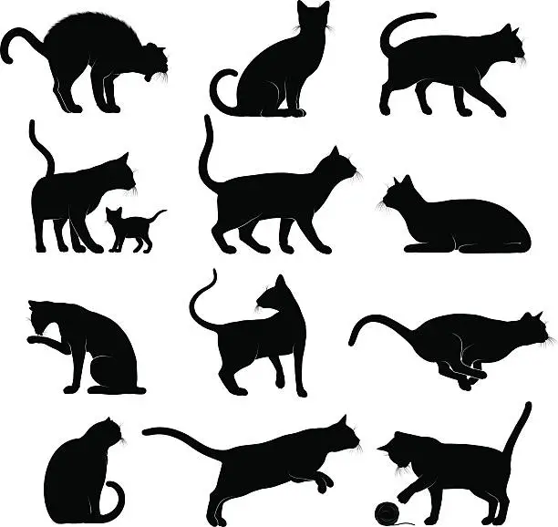 Vector illustration of Cats Silhouettes