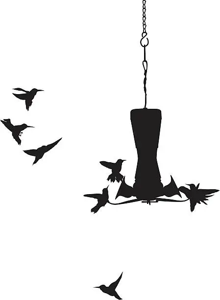 Vector illustration of Tiny Hummingbirds surrounding a bird feeder
