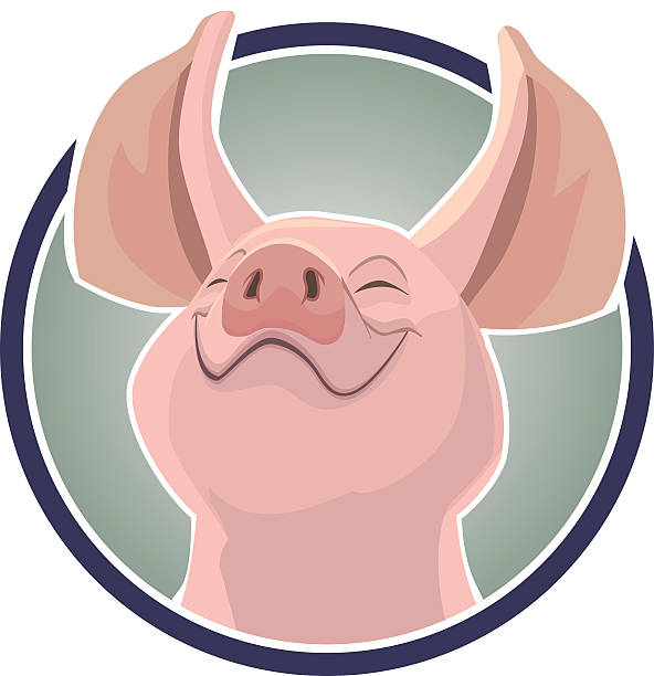 smiling pig vector art illustration