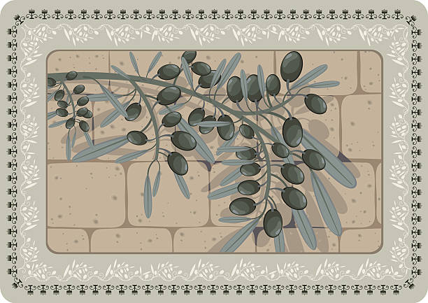 ilustrações de stock, clip art, desenhos animados e ícones de ramo de oliveira com sombra no muro de pedra, floral, moldura - jerusalem stone illustrations