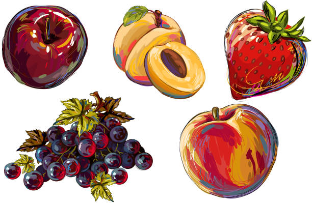 illustrations, cliparts, dessins animés et icônes de fruits frais - painterly effect illustrations