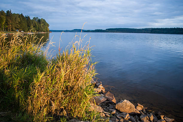 istock Serenity at the shore 472278396