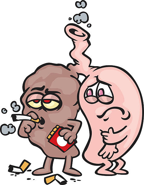 861 Smoking Lungs Cartoon Illustrations & Clip Art - iStock 861 Smoking Lungs Cartoon Illustrations & Clip Art - iStock