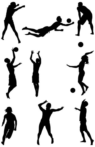 Men and women playing volleyball Men and women playing volleyballhttp://www.twodozendesign.info/i/1.png silhouette of a stop stock illustrations