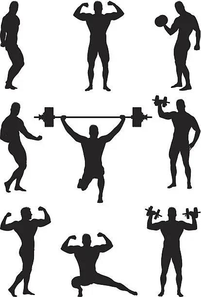 Vector illustration of Body builder flexing and lifting weights