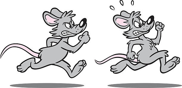 Cartoon Rat Race Great illustration of a cartoon rat race. Perfect for a business illustration. EPS and JPEG files included. Be sure to view my other illustrations, thanks! rat race stock illustrations