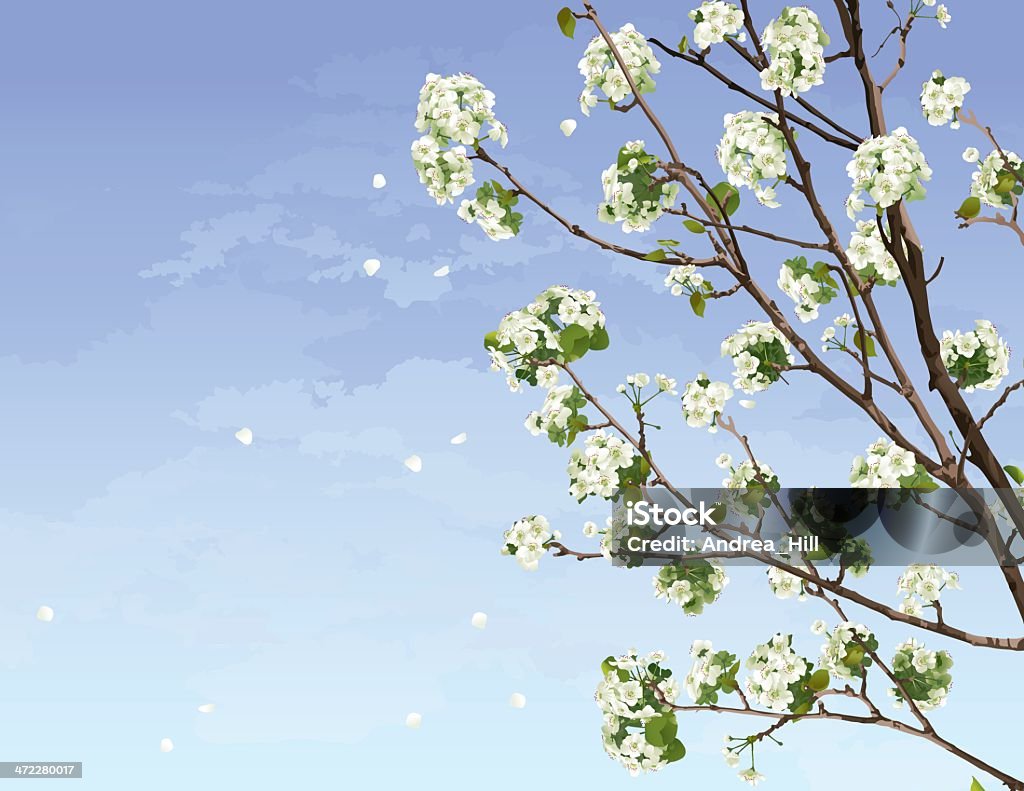 Branco Cherry Blossoms - Vetor de Branco royalty-free