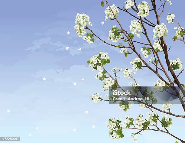 Kirschblüten Branco - Arte vetorial de stock e mais imagens de Branco - Branco, Cair, Céu