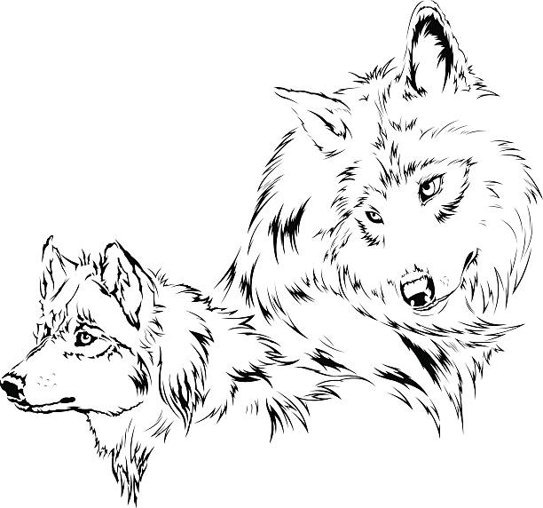 Wolfs – artystyczna grafika wektorowa