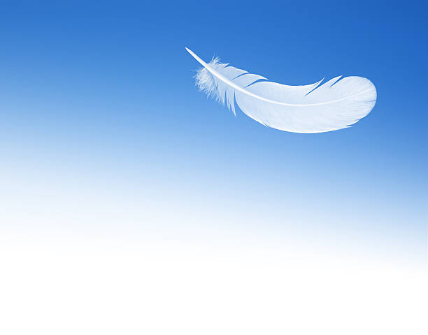 istock feather on the background of blue sky 472280996