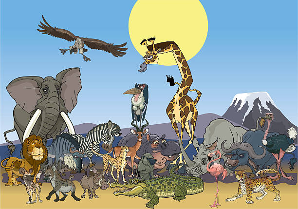 Africa wildlife vector art illustration