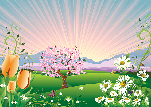 Spring Background Stock Illustration - Download Image Now - Backgrounds ...