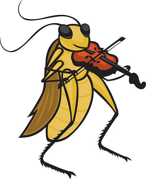 illustrations, cliparts, dessins animés et icônes de joueur de cricket - grillon insecte
