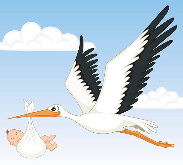istock A picture of a bird carrying a baby 472281653