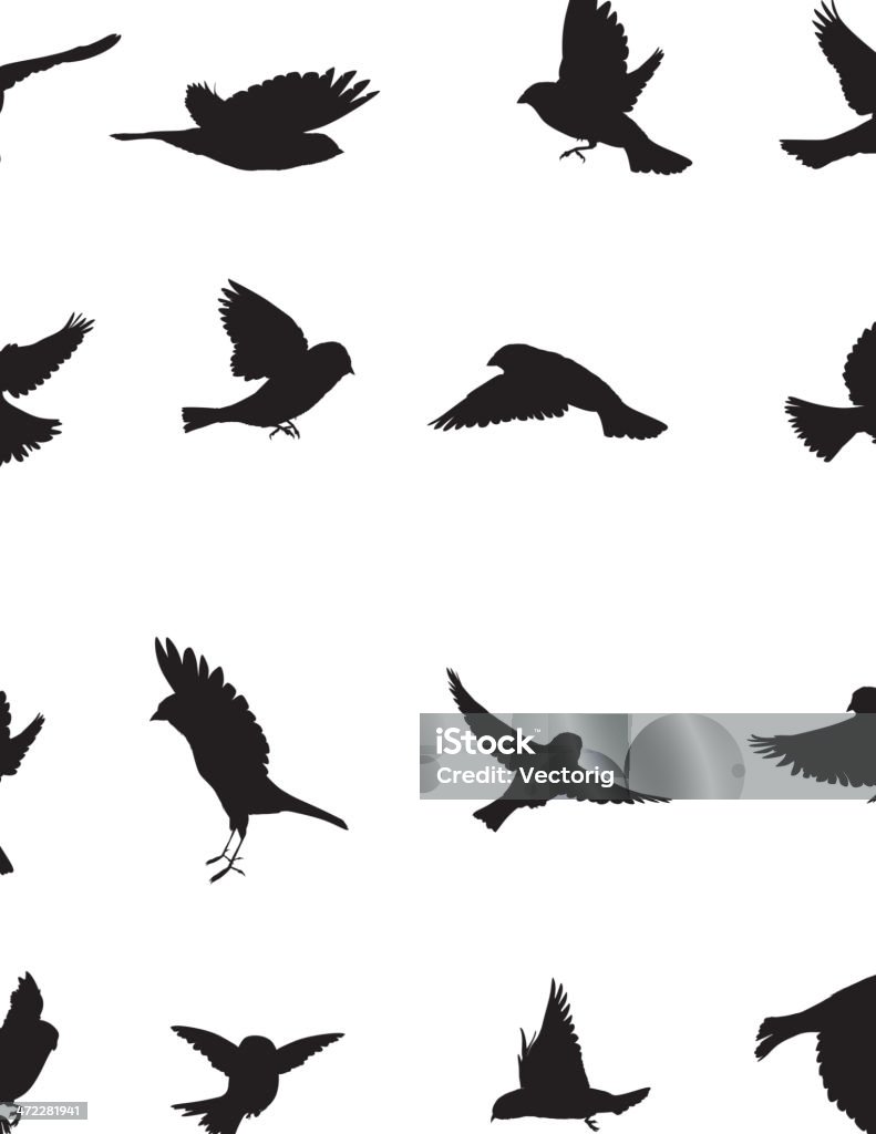 Sparrows Silhouette Sparrows Silhouette collection Bird stock vector