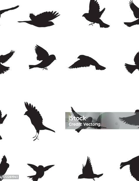 Sparrows Silhouette Stock Illustration - Download Image Now - Bird, In Silhouette, Flying