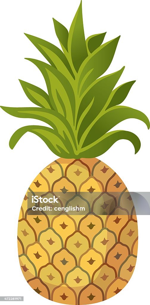 Ananas - Lizenzfrei Ananas Vektorgrafik
