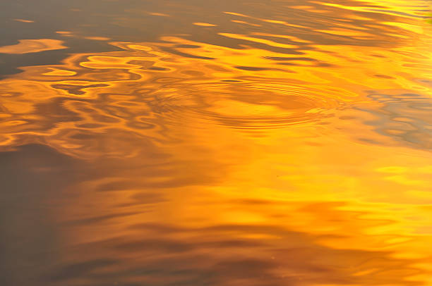 istock Color of Sunrise Light on Calm Water 472282062
