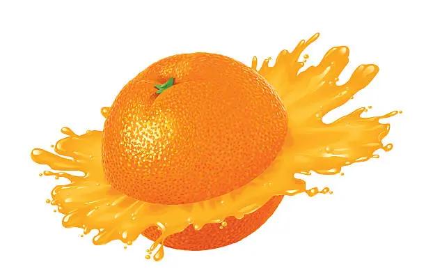 Vector illustration of Orange with Juice Splash