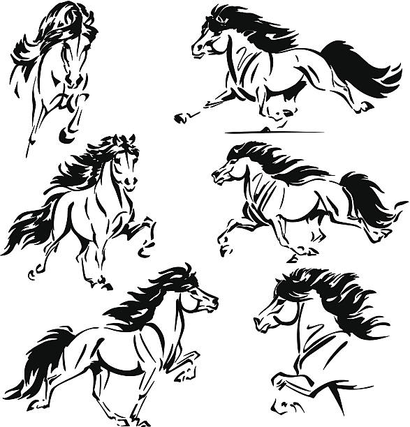 illustrazioni stock, clip art, cartoni animati e icone di tendenza di cavalli islandese - islande