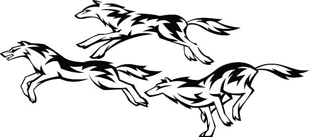 Three running wolves vector art illustration