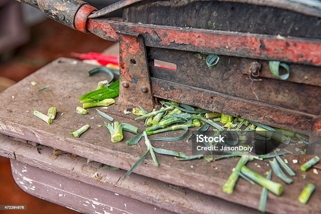 Florist Stem Cutter On A Workbench In A Flower Shop Stock Photo - Download  Image Now - iStock