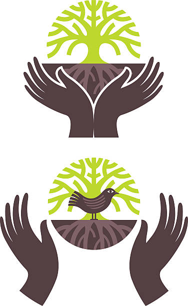 baum bird genießen - hands cupped stock-grafiken, -clipart, -cartoons und -symbole