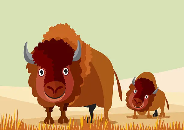 Vector illustration of Bison