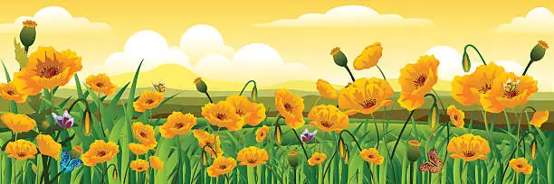 Vector illustration of Yellow poppy field