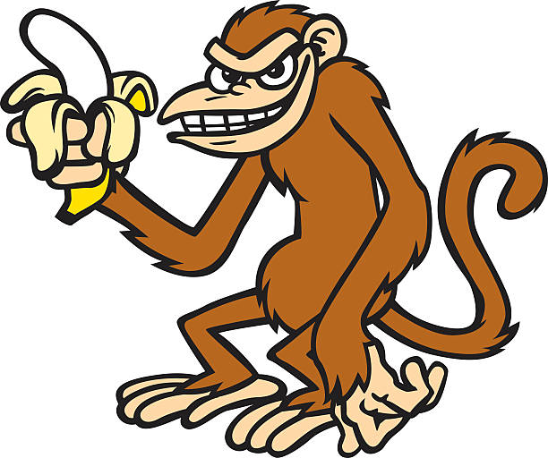 Monkey Rude Gester 720+ Rude Monkey Stock Photos, Pictures & Royalty-Free Images - iStock