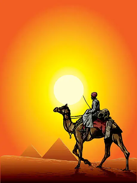 Vector illustration of Camel and pyramids