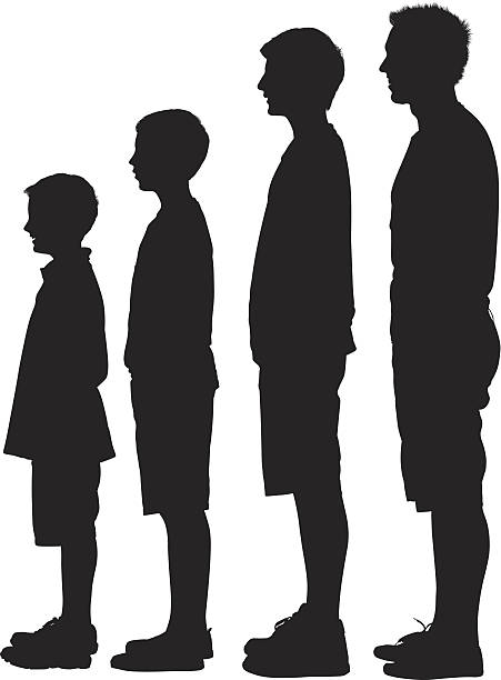 실루엣 직원관리 오름차순으로 - profile people in a row group of people people stock illustrations