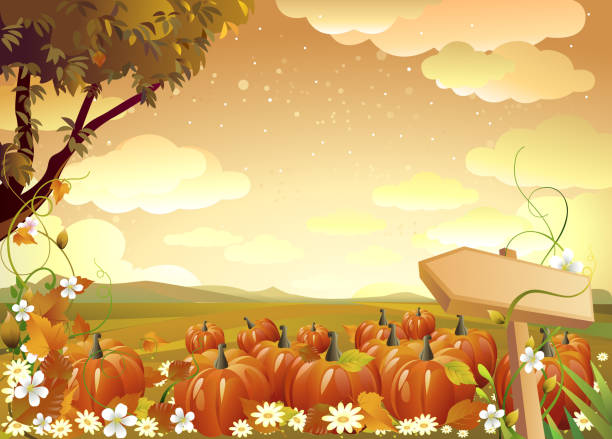 Graphic of pumpkins in field with trees and orange sky Self illustrated beautiful autumn background.Each element in a separate layers.Very easy to edit vector file. single flower flower autumn pumpkin stock illustrations